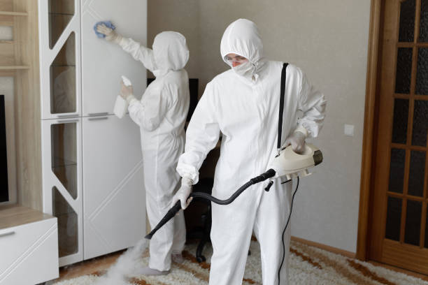 24/7 Emergency Odor Removal experts in Effingham, IL