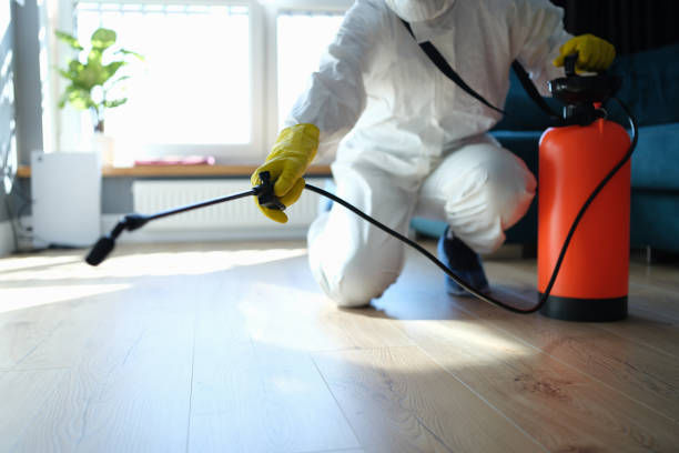 Reliable Odor Removal contractor in Effingham, IL by Crime Scene Cleaner Online